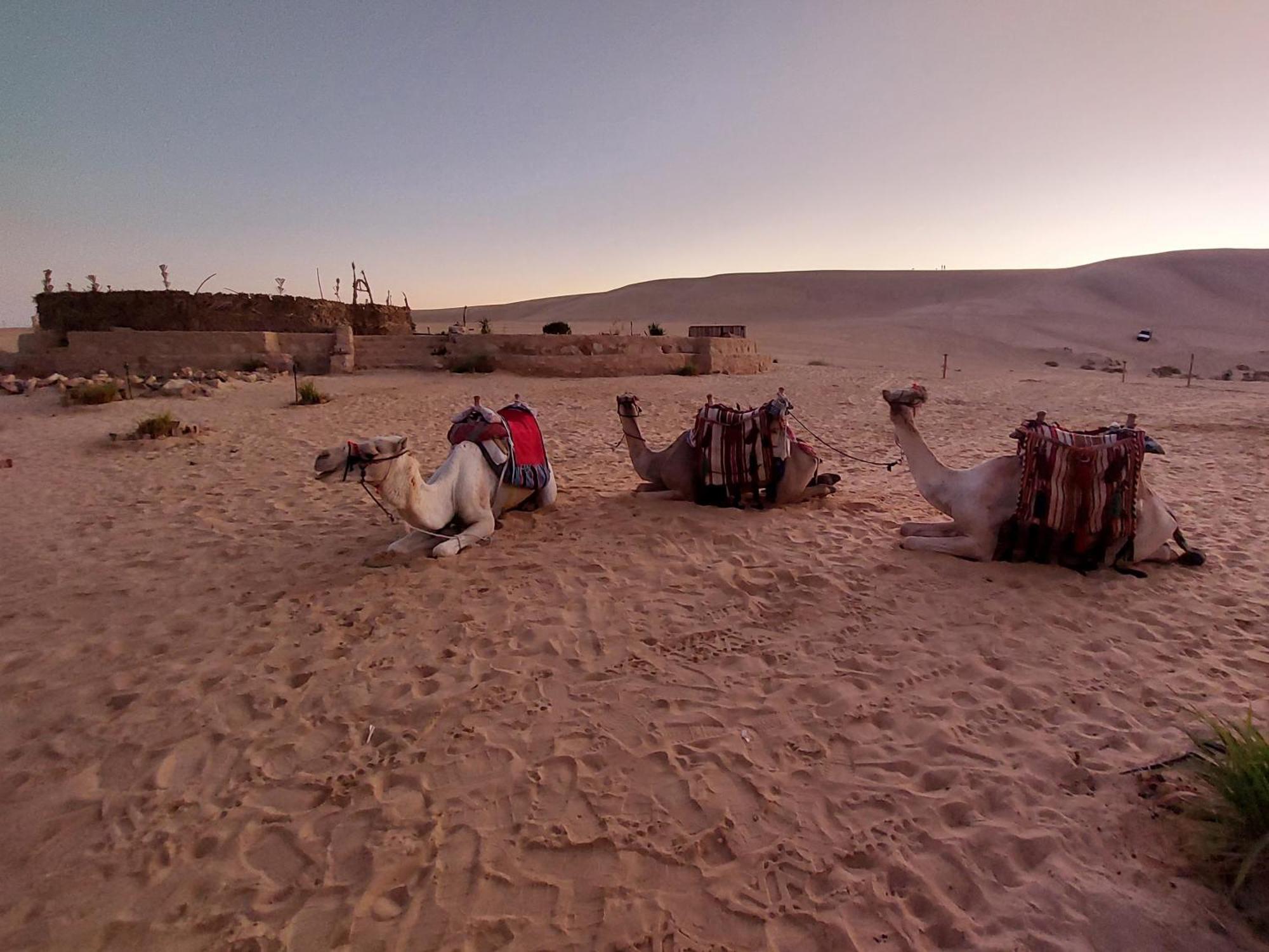 Hayaat Siwa Hot Spring Hotel Siwa Oasis Exterior foto