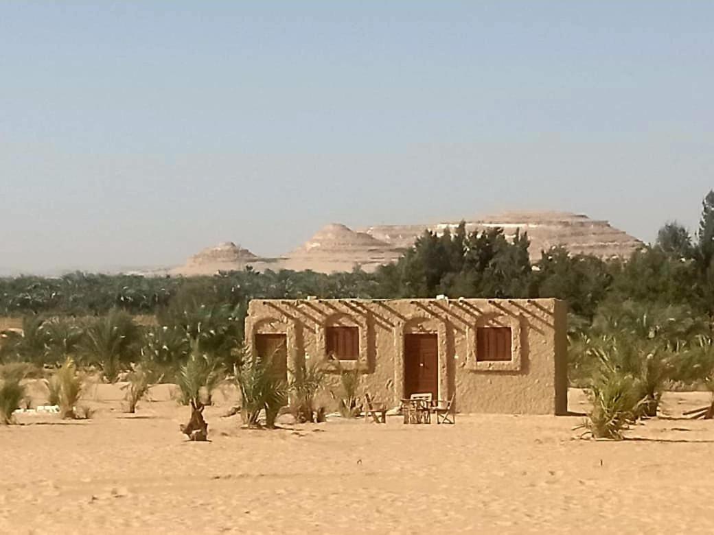 Hayaat Siwa Hot Spring Hotel Siwa Oasis Quarto foto